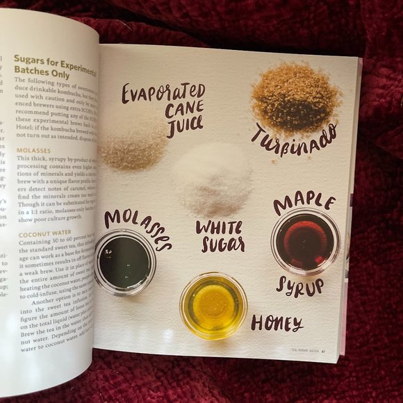 The Big Book of Kombucha Hardcover - Picture 6 of 7